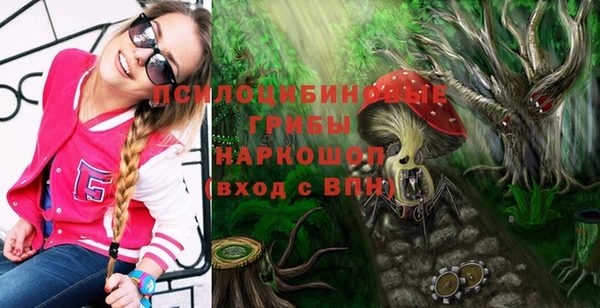 прущие грибы Переславль-Залесский