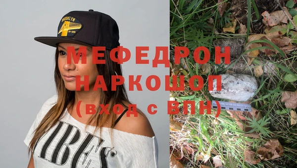 прущие грибы Переславль-Залесский