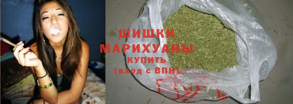 spice Пестово