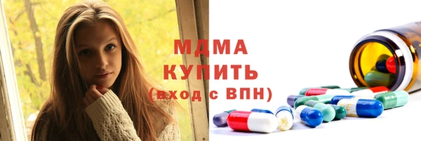 прущие грибы Переславль-Залесский