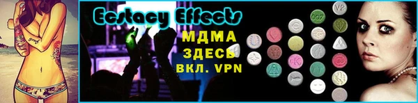 прущие грибы Переславль-Залесский