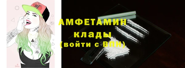 прущие грибы Переславль-Залесский