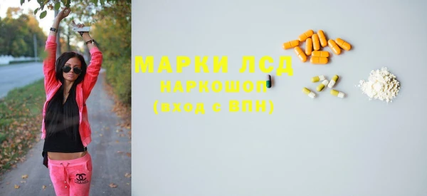 прущие грибы Переславль-Залесский