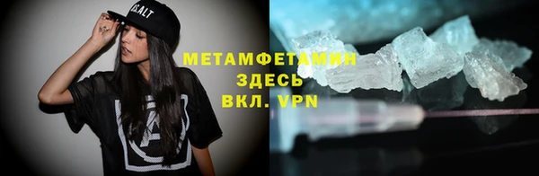 прущие грибы Переславль-Залесский