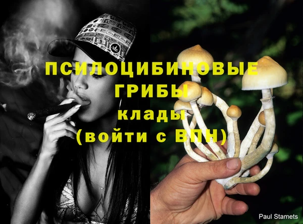 марки nbome Покачи