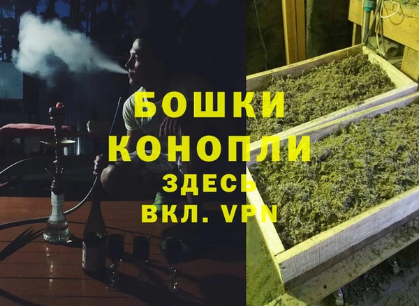 spice Пестово